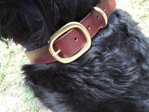 Rustic Extra Large Dog Collar with Double Dees